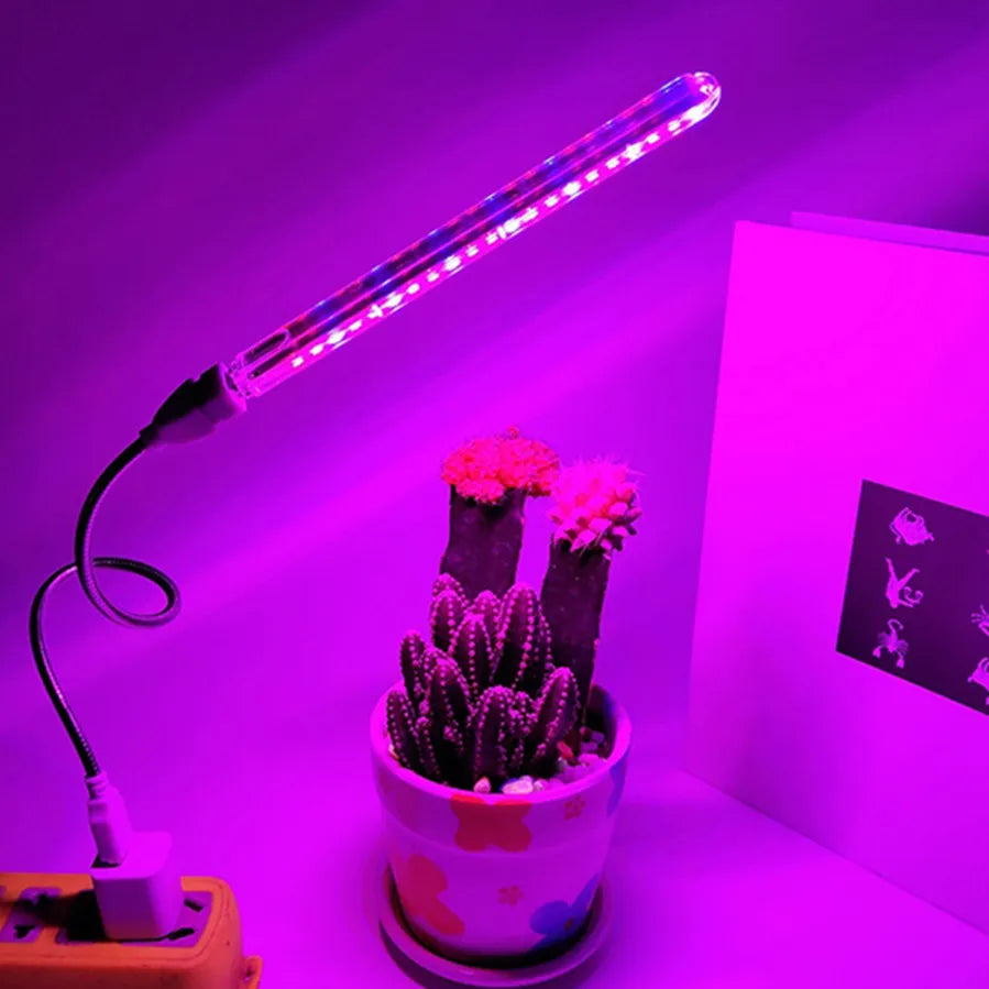 LED Grow Light