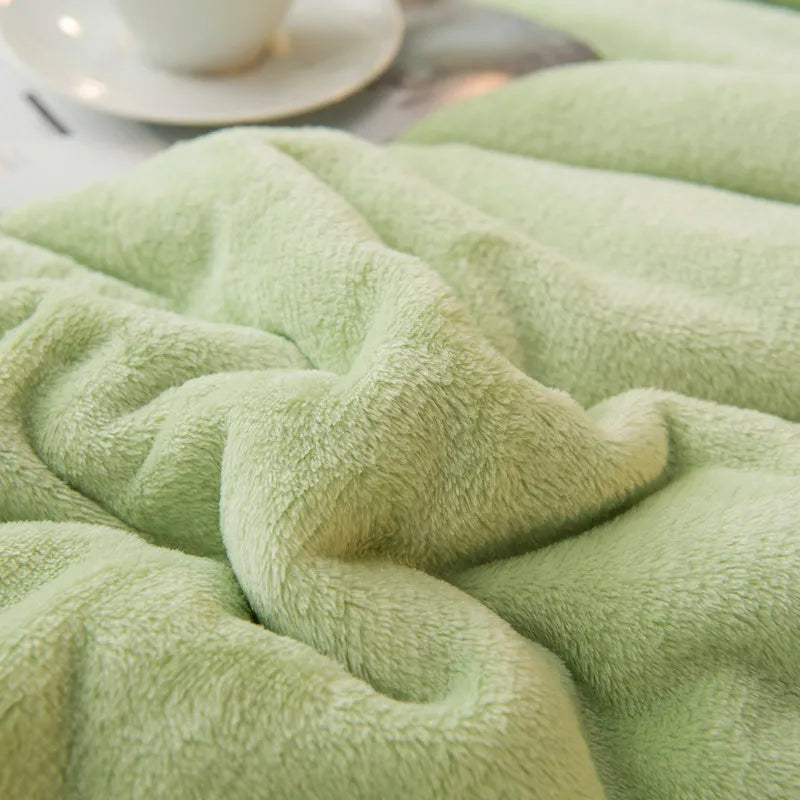 Winter Fleece Blankets