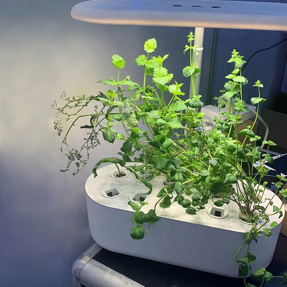 Hydroponics Growing System