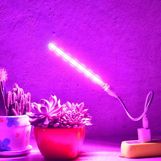 LED Grow Light